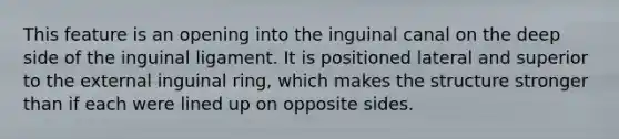 This feature is an opening into the inguinal canal on the deep side of the inguinal ligament. It is positioned lateral and superior to the external inguinal ring, which makes the structure stronger than if each were lined up on opposite sides.