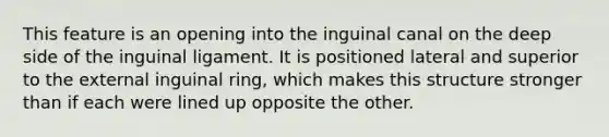This feature is an opening into the inguinal canal on the deep side of the inguinal ligament. It is positioned lateral and superior to the external inguinal ring, which makes this structure stronger than if each were lined up opposite the other.