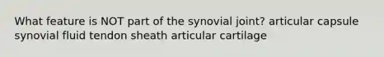 What feature is NOT part of the synovial joint? articular capsule synovial fluid tendon sheath articular cartilage