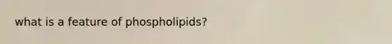 what is a feature of phospholipids?