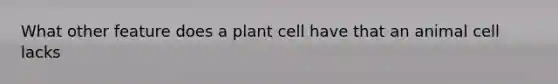 What other feature does a plant cell have that an animal cell lacks