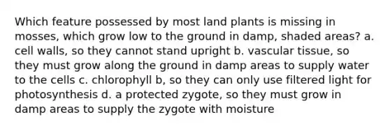 Which feature possessed by most land plants is missing in mosses, which grow low to the ground in damp, shaded areas? a. cell walls, so they cannot stand upright b. vascular tissue, so they must grow along the ground in damp areas to supply water to the cells c. chlorophyll b, so they can only use filtered light for photosynthesis d. a protected zygote, so they must grow in damp areas to supply the zygote with moisture