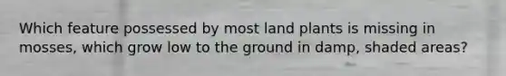 Which feature possessed by most land plants is missing in mosses, which grow low to the ground in damp, shaded areas?