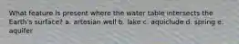 What feature is present where the water table intersects the Earth's surface? a. artesian well b. lake c. aquiclude d. spring e. aquifer