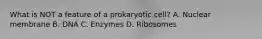 What is NOT a feature of a prokaryotic cell? A. Nuclear membrane B. DNA C. Enzymes D. Ribosomes