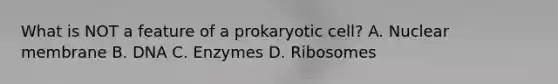 What is NOT a feature of a prokaryotic cell? A. Nuclear membrane B. DNA C. Enzymes D. Ribosomes