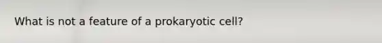 What is not a feature of a prokaryotic cell?