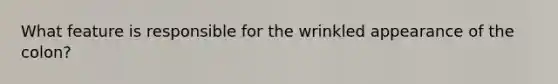 What feature is responsible for the wrinkled appearance of the colon?