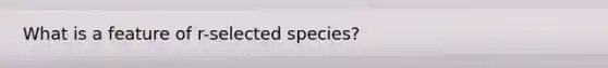 What is a feature of r-selected species?