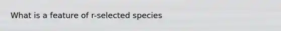 What is a feature of r-selected species