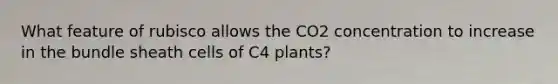 What feature of rubisco allows the CO2 concentration to increase in the bundle sheath cells of C4 plants?