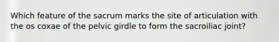 Which feature of the sacrum marks the site of articulation with the os coxae of the <a href='https://www.questionai.com/knowledge/k9xWFjlOIm-pelvic-girdle' class='anchor-knowledge'>pelvic girdle</a> to form the sacroiliac joint?