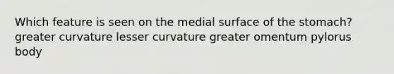 Which feature is seen on the medial surface of <a href='https://www.questionai.com/knowledge/kLccSGjkt8-the-stomach' class='anchor-knowledge'>the stomach</a>? greater curvature lesser curvature greater omentum pylorus body