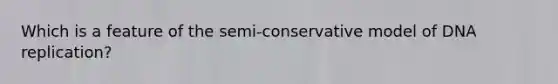 Which is a feature of the semi-conservative model of DNA replication?