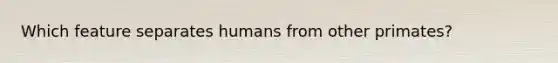 Which feature separates humans from other primates?