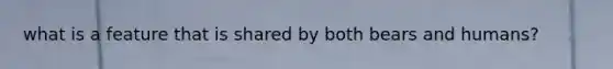 what is a feature that is shared by both bears and humans?