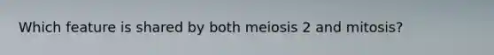 Which feature is shared by both meiosis 2 and mitosis?