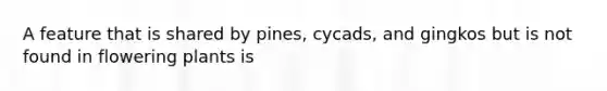 A feature that is shared by pines, cycads, and gingkos but is not found in flowering plants is