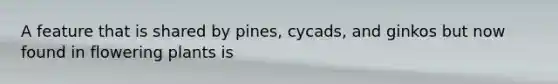 A feature that is shared by pines, cycads, and ginkos but now found in flowering plants is