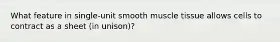 What feature in single-unit smooth <a href='https://www.questionai.com/knowledge/kMDq0yZc0j-muscle-tissue' class='anchor-knowledge'>muscle tissue</a> allows cells to contract as a sheet (in unison)?