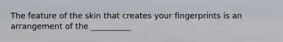 The feature of the skin that creates your fingerprints is an arrangement of the __________