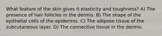 What feature of the skin gives it elasticity and toughness? A) The presence of hair follicles in the dermis. B) The shape of the epithelial cells of the epidermis. C) The adipose tissue of the subcutaneous layer. D) The connective tissue in the dermis.