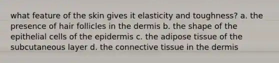 what feature of the skin gives it elasticity and toughness? a. the presence of hair follicles in the dermis b. the shape of the epithelial cells of the epidermis c. the adipose tissue of the subcutaneous layer d. the connective tissue in the dermis