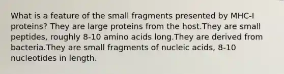 What is a feature of the small fragments presented by MHC-I proteins? They are large proteins from the host.They are small peptides, roughly 8-10 amino acids long.They are derived from bacteria.They are small fragments of nucleic acids, 8-10 nucleotides in length.