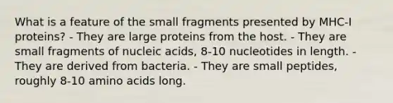 What is a feature of the small fragments presented by MHC-I proteins? - They are large proteins from the host. - They are small fragments of nucleic acids, 8-10 nucleotides in length. - They are derived from bacteria. - They are small peptides, roughly 8-10 amino acids long.