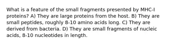 What is a feature of the small fragments presented by MHC-I proteins? A) They are large proteins from the host. B) They are small peptides, roughly 8-10 amino acids long. C) They are derived from bacteria. D) They are small fragments of nucleic acids, 8-10 nucleotides in length.