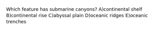 Which feature has submarine canyons? A)continental shelf B)continental rise C)abyssal plain D)oceanic ridges E)oceanic trenches