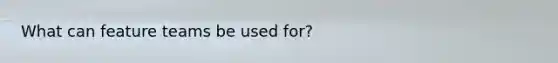 What can feature teams be used for?