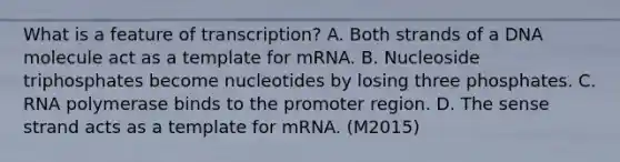 What is a feature of transcription? A. Both strands of a DNA molecule act as a template for mRNA. B. Nucleoside triphosphates become nucleotides by losing three phosphates. C. RNA polymerase binds to the promoter region. D. The sense strand acts as a template for mRNA. (M2015)