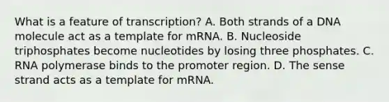 What is a feature of transcription? A. Both strands of a DNA molecule act as a template for mRNA. B. Nucleoside triphosphates become nucleotides by losing three phosphates. C. RNA polymerase binds to the promoter region. D. The sense strand acts as a template for mRNA.