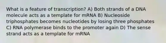 What is a feature of transcription? A) Both strands of a DNA molecule acts as a template for mRNA B) Nucleoside triphosphates becomes nucleotides by losing three phosphates C) RNA polymerase binds to the promoter again D) The sense strand acts as a template for mRNA