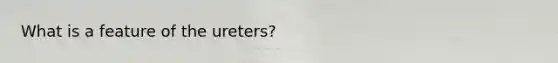 What is a feature of the ureters?