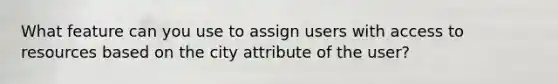 What feature can you use to assign users with access to resources based on the city attribute of the user?