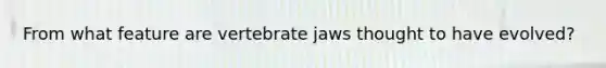 From what feature are vertebrate jaws thought to have evolved?