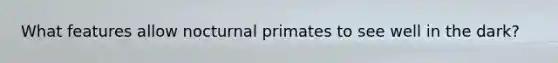 What features allow nocturnal primates to see well in the dark?