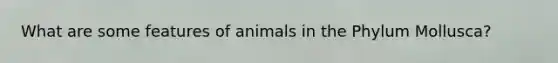 What are some features of animals in the Phylum Mollusca?