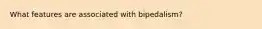 What features are associated with bipedalism?