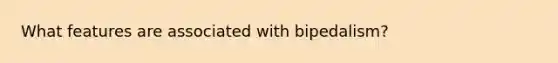 What features are associated with bipedalism?