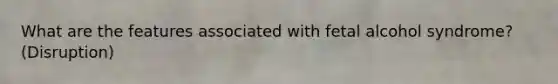 What are the features associated with fetal alcohol syndrome? (Disruption)
