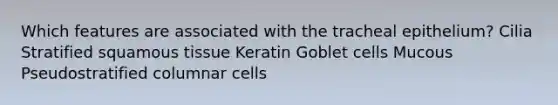 Which features are associated with the tracheal epithelium? Cilia Stratified squamous tissue Keratin Goblet cells Mucous Pseudostratified columnar cells