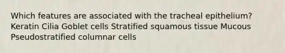 Which features are associated with the tracheal epithelium? Keratin Cilia Goblet cells Stratified squamous tissue Mucous Pseudostratified columnar cells