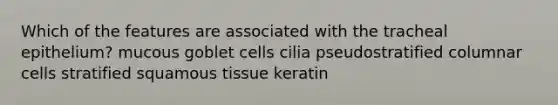 Which of the features are associated with the tracheal epithelium? mucous goblet cells cilia pseudostratified columnar cells stratified squamous tissue keratin