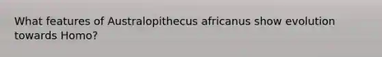 What features of Australopithecus africanus show evolution towards Homo?