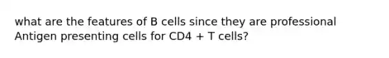 what are the features of B cells since they are professional Antigen presenting cells for CD4 + T cells?