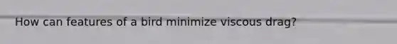 How can features of a bird minimize viscous drag?