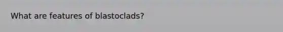 What are features of blastoclads?